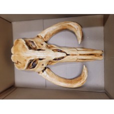 Mythosaur Skulls Mythosaur Skulls